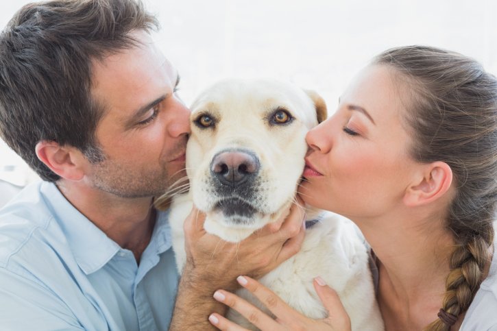 pet owners enjoying their pet friendly seattle apartment