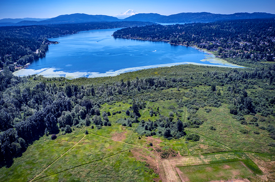 Marymoor-Park