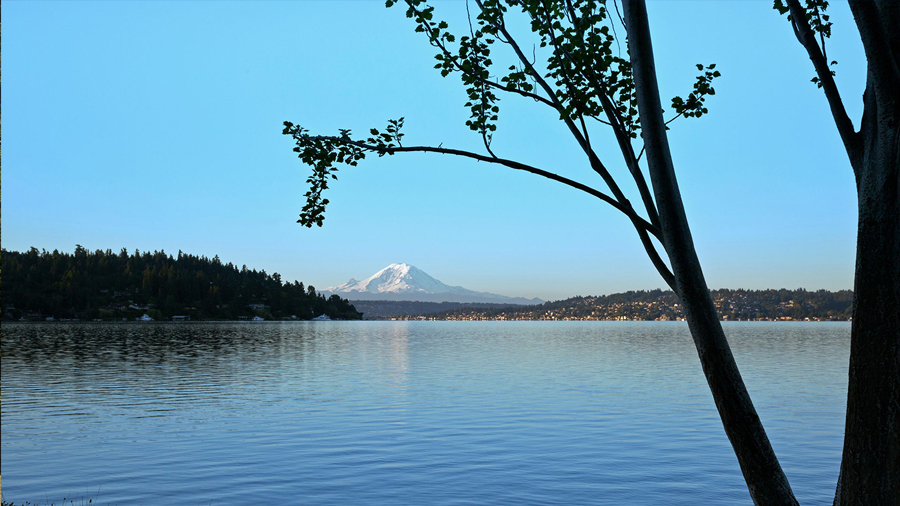 Seward-Park